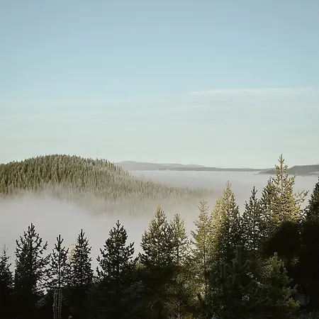 Log In With Jacuzzi And Access Holiday home Trysil
