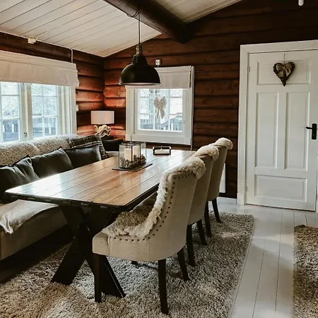Log In With Jacuzzi And Access Holiday home Trysil