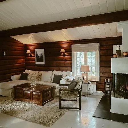 Log In With Jacuzzi And Access Holiday home Trysil