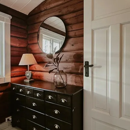 Log In With Jacuzzi And Access Holiday home Trysil