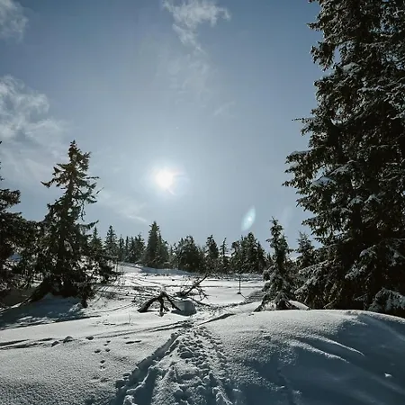 Log In With Jacuzzi And Access